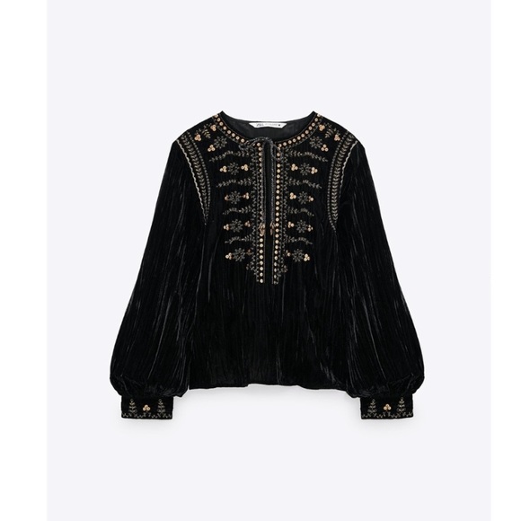 Zara Tops - NWT Zara luxury minimalist bohemian embroidered velvet blouse/top